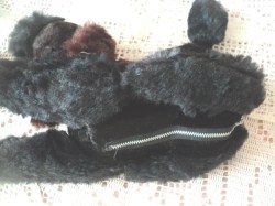 poodle radio main_03